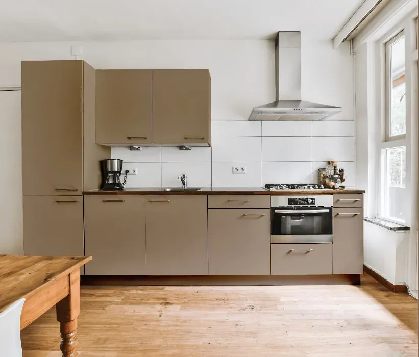 Sherwin Williams Sanderling kitchen cabinets