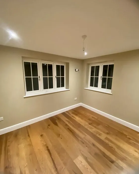 Dulux Sandstone wall paint color review