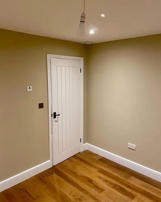 Dulux Sandstone wall paint color review