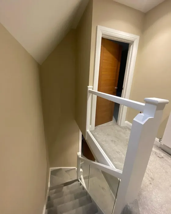 Dulux Sandstone hallway color