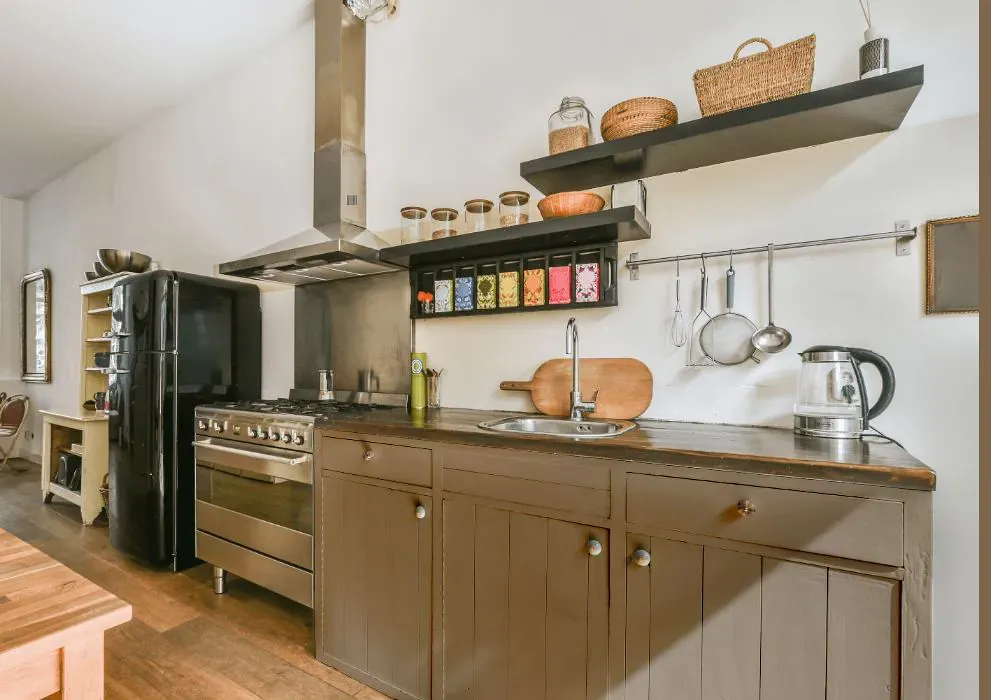 Sherwin Williams Sandy Ridge kitchen cabinets