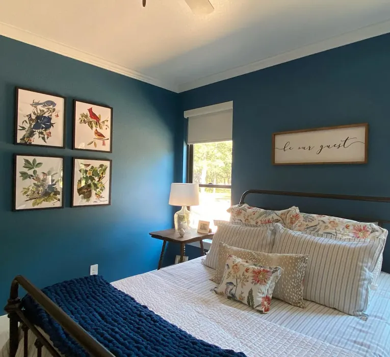 SW Santorini Blue bedroom color