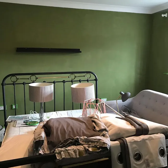 Sap Green bedroom color