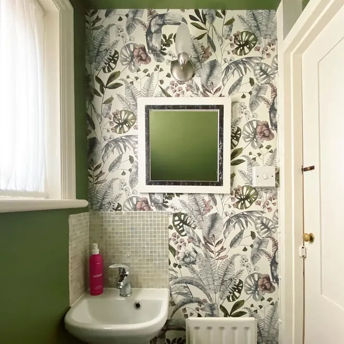 Sap Green bathroom paint