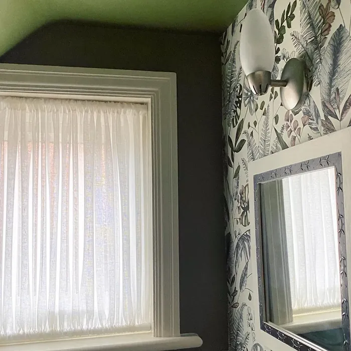 Sap Green bathroom paint review