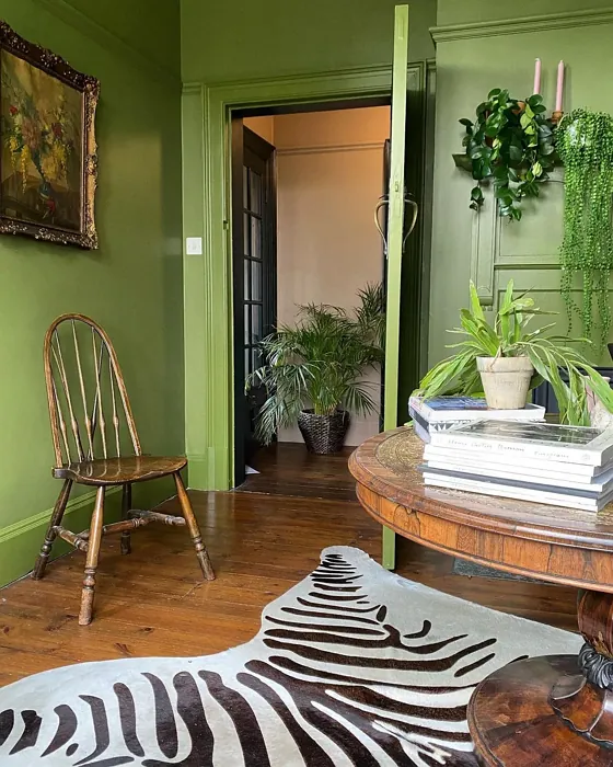 Sap Green living room color