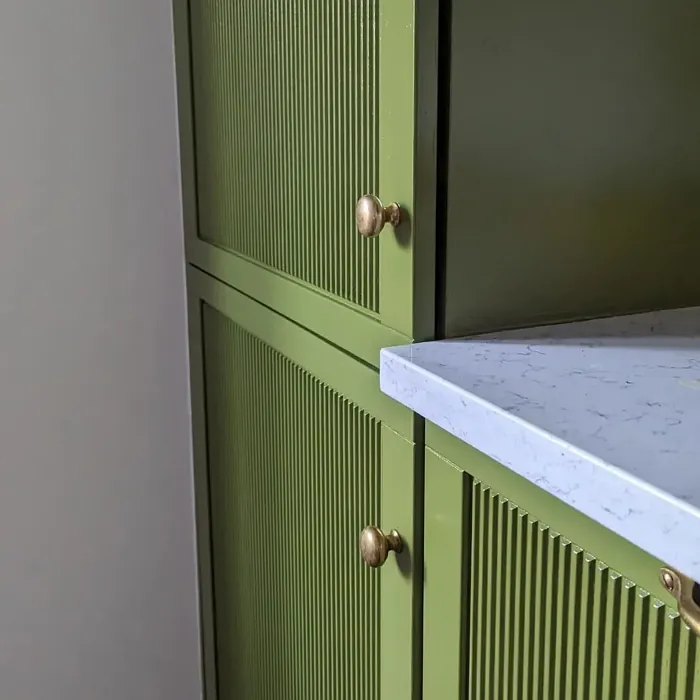 Sap Green kitchen cabinets inspiration