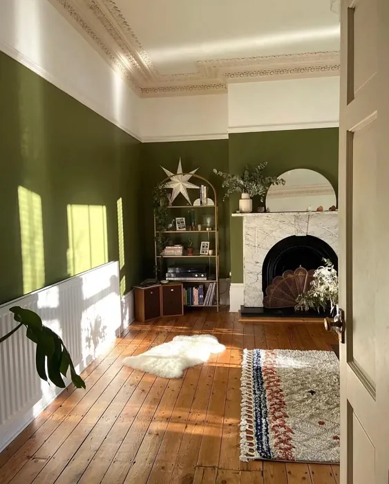 Farrow and Ball Sap Green living room fireplace picture