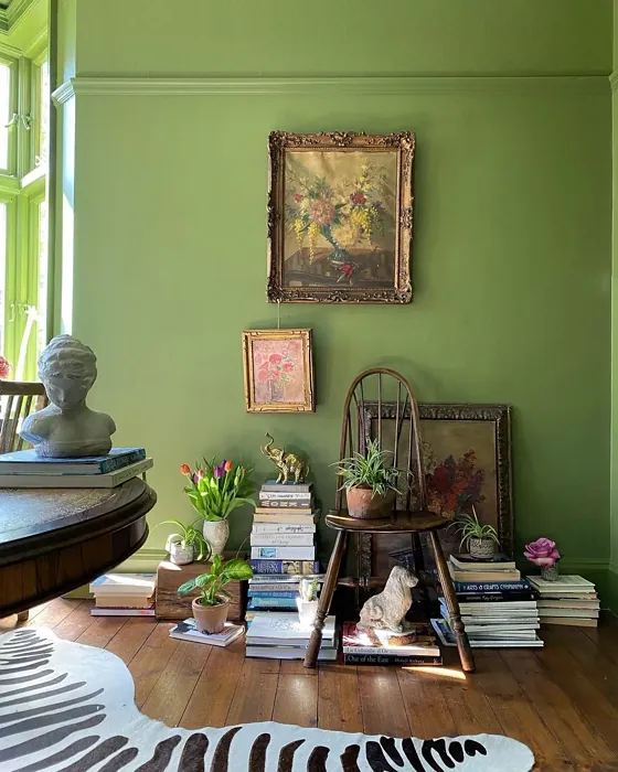 Farrow and Ball Sap Green cozy living room picture