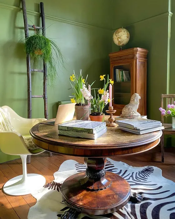 Farrow and Ball Sap Green cozy living room inspiration