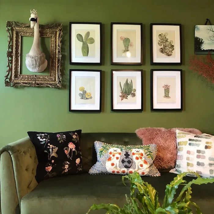 Sap Green cozy living room review