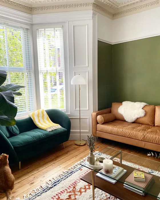 Farrow and Ball Sap Green cozy living room picture
