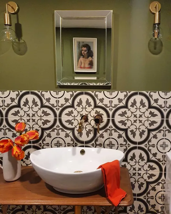Sap Green cozy bathroom color review