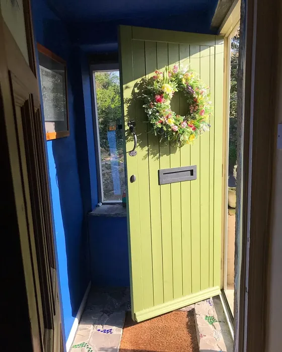 Sap Green cozy front door paint