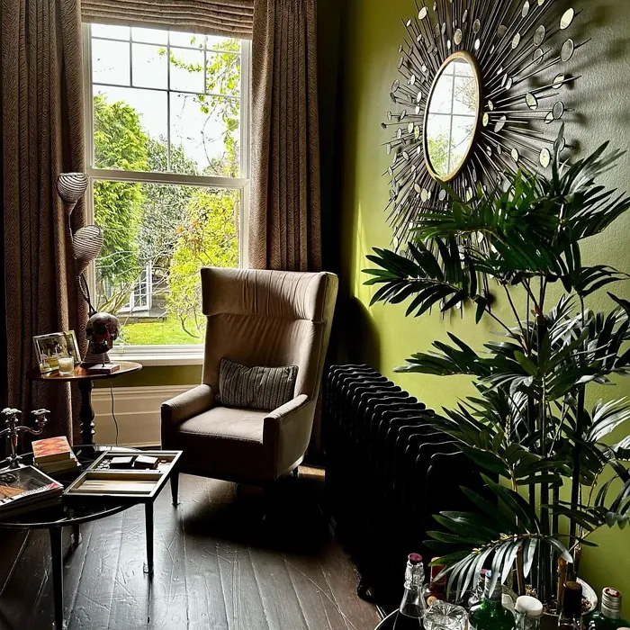 Sap Green cozy living room fireplace inspiration