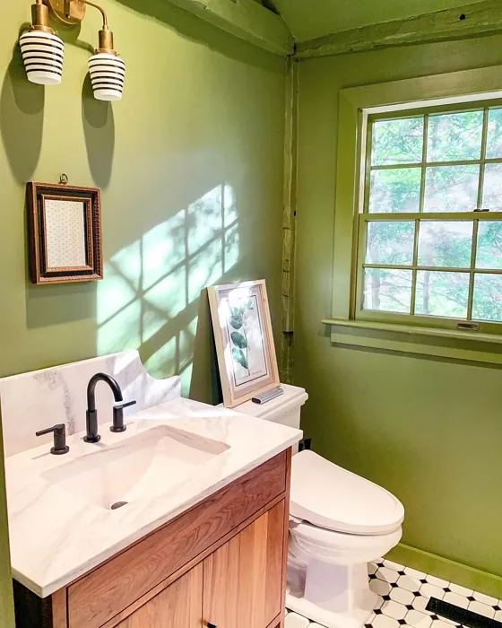 Sap Green cozy bathroom inspo