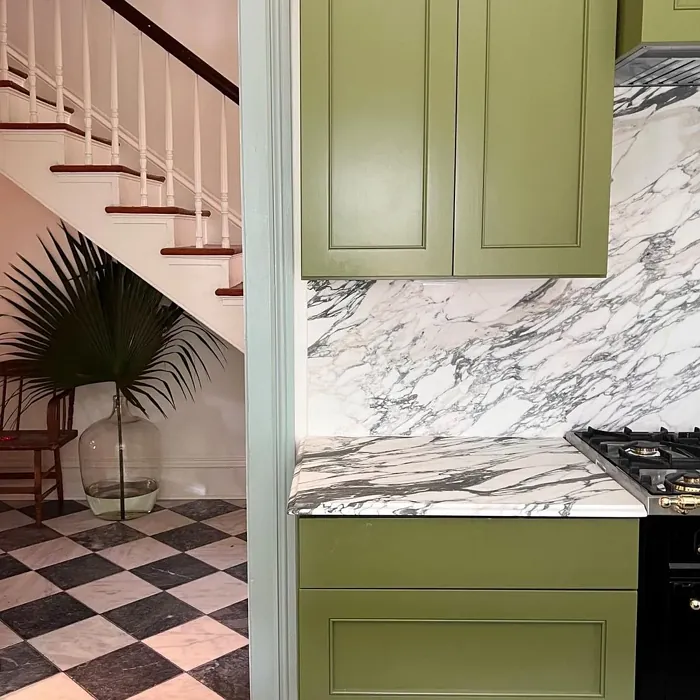 Farrow and Ball Sap Green kitchen cabinets review