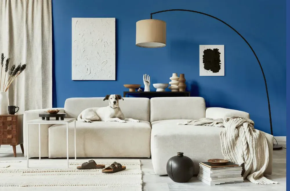 Sherwin Williams Sapphire cozy living room