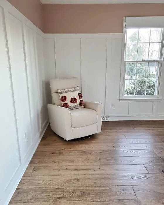 Sw 6051 Living Room With White Panels