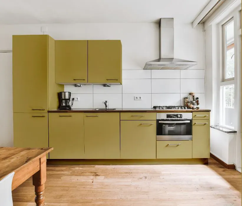 Sherwin Williams Sassy Green kitchen cabinets