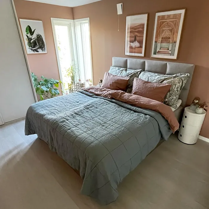 Jotun Savanna Sunset bedroom color review