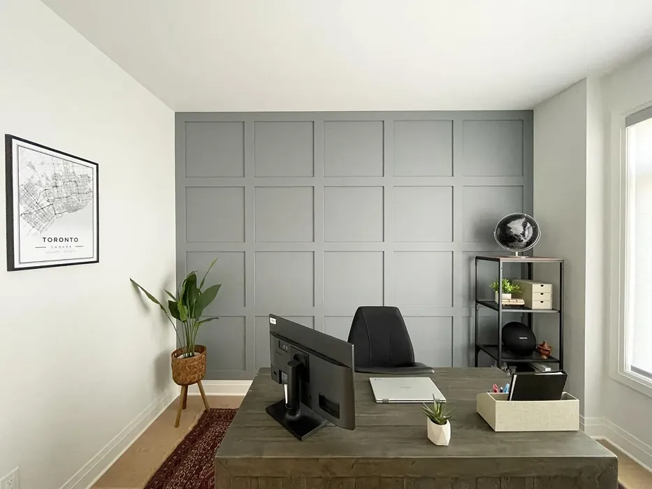 Sherwin Williams Scattered Showers home office accent wall