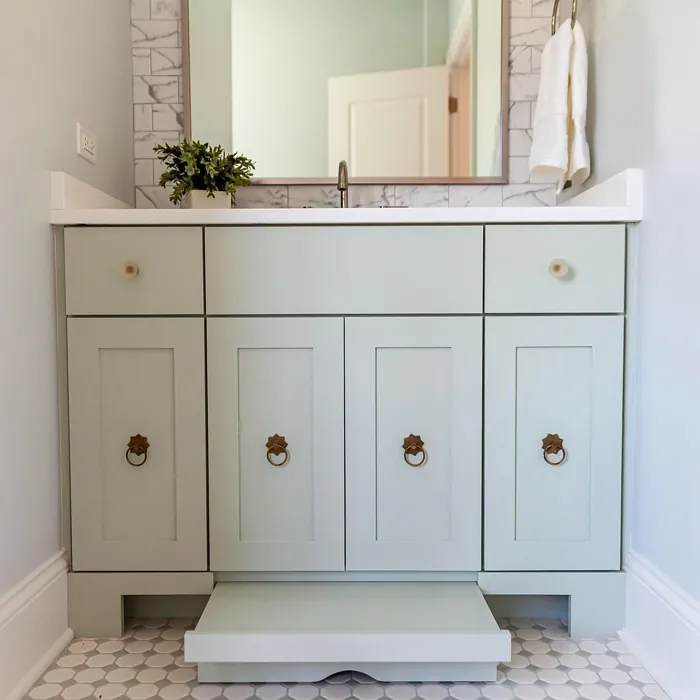 Sherwin Williams Sea Salt Bathroom Vanity