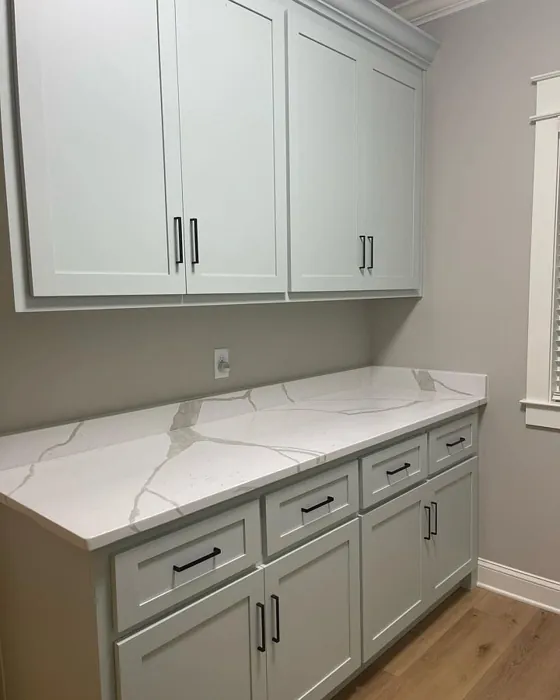 Painted Cabinets