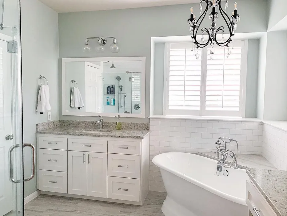 Sherwin Williams Sea Salt Bathroom