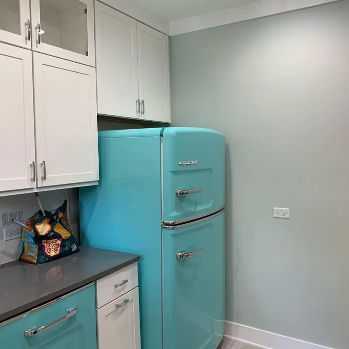 Sherwin Williams Sea Salt kitchen paint