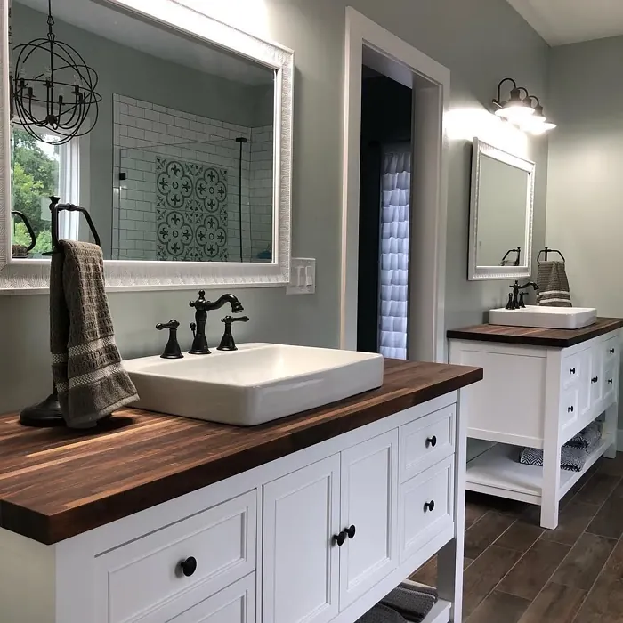 SW Sea Salt bathroom color