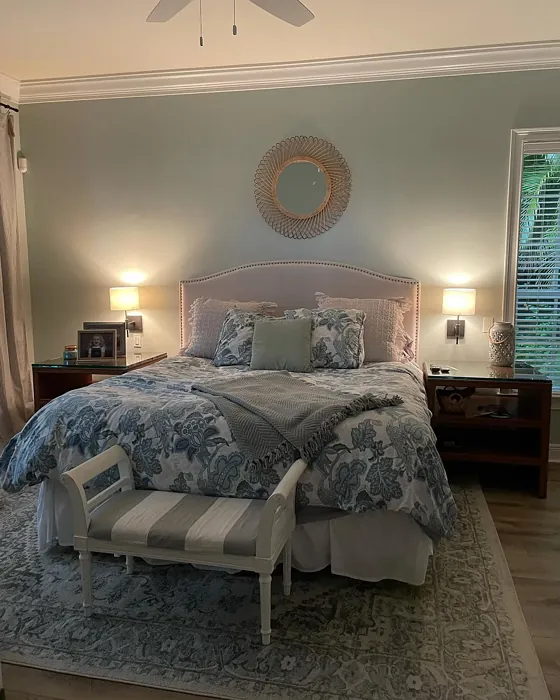 SW 6204 bedroom paint review