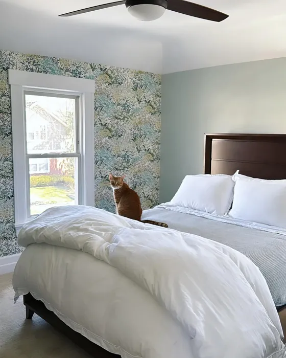 SW 6204 bedroom inspiration