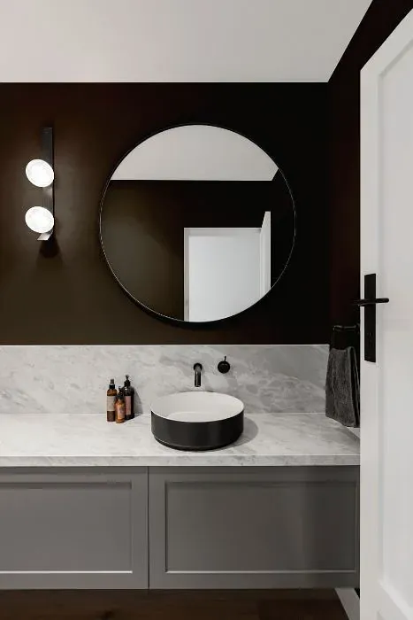 Sherwin Williams Sealskin minimalist bathroom
