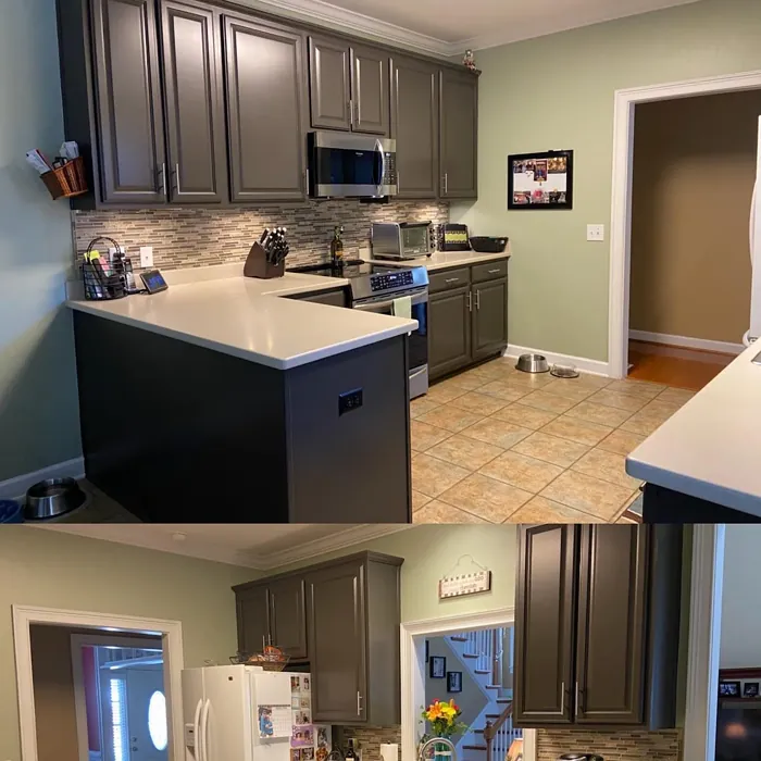 Sherwin Williams Sealskin kitchen cabinets color