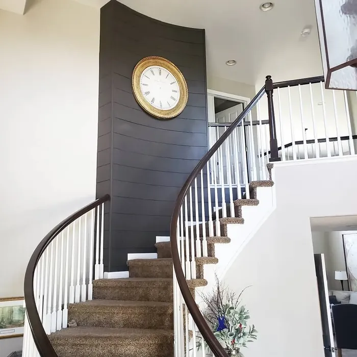 SW Sealskin hallway plank wall