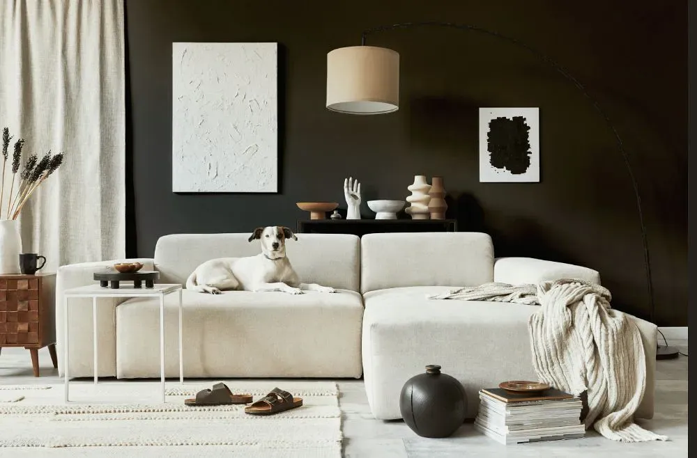Sherwin Williams Sealskin cozy living room