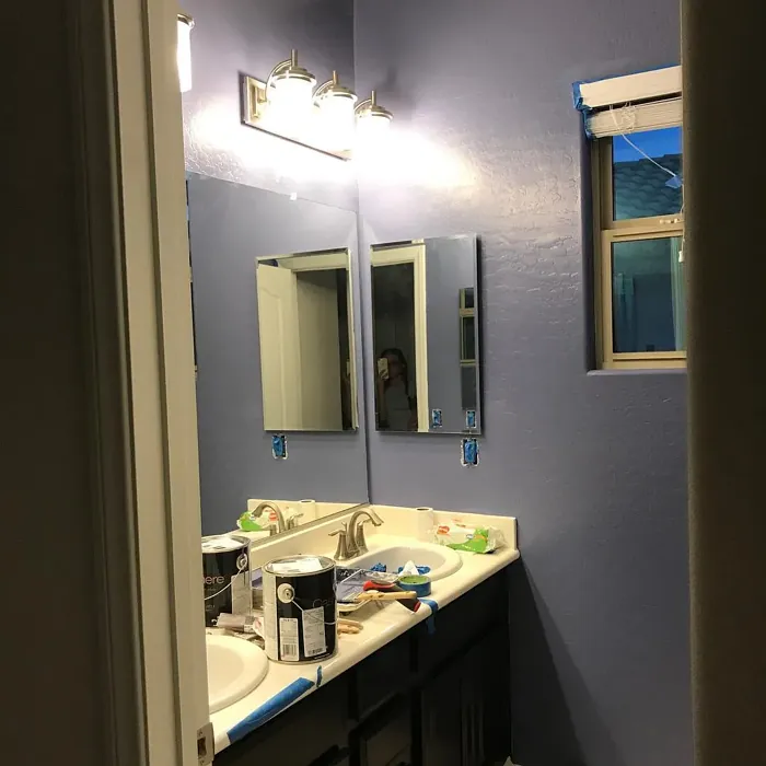 SW Searching Blue bathroom paint