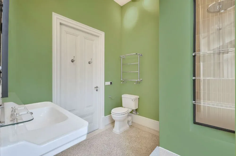 Sherwin Williams Seawashed Glass bathroom