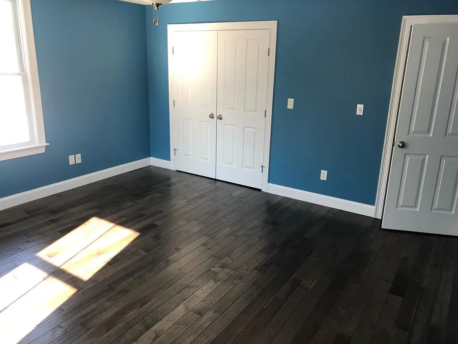 Sw Secure Blue Wall Paint