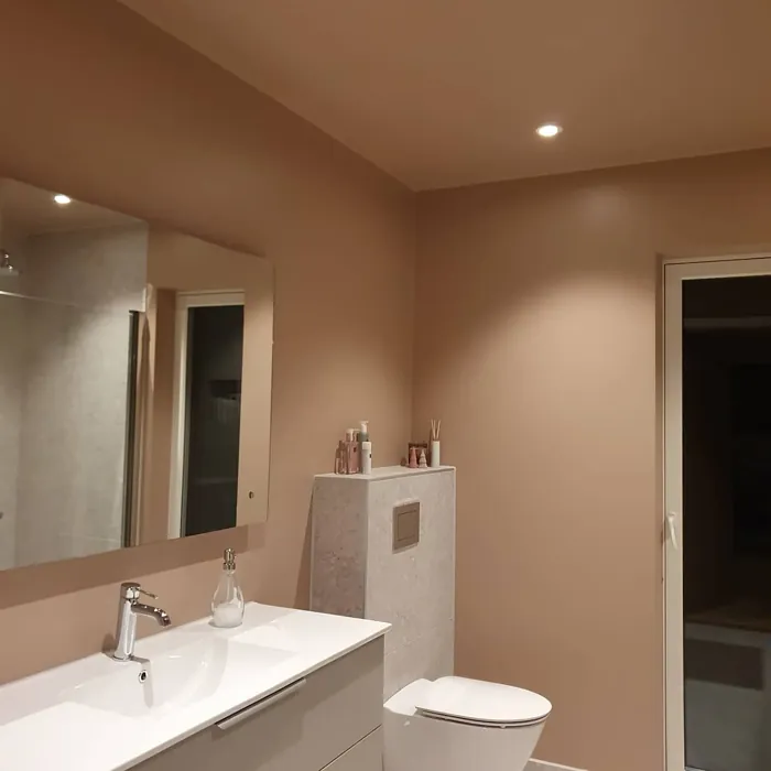 Jotun Senses minimalist bathroom paint review