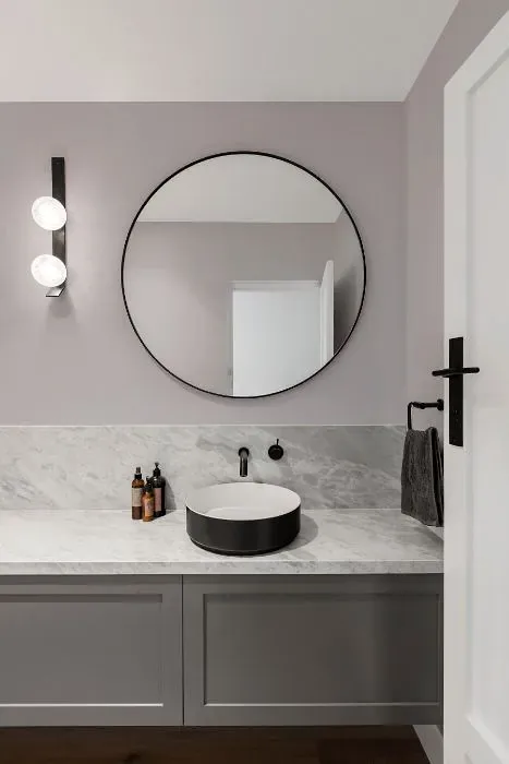 Sherwin Williams Sensitive Tint minimalist bathroom
