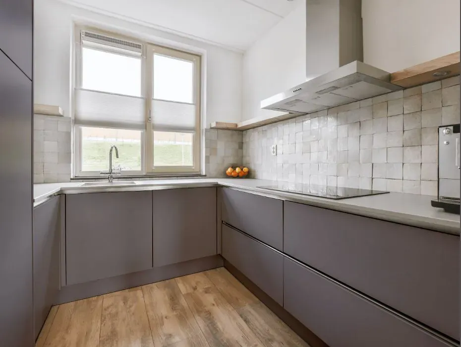 Sherwin Williams Sensuous Gray small kitchen cabinets