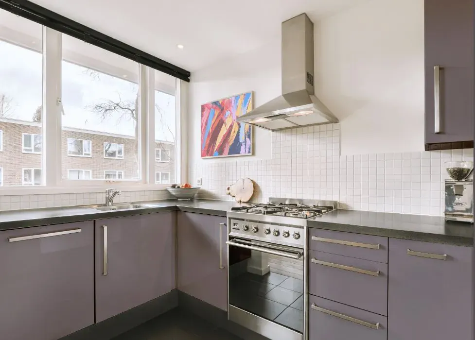 Sherwin Williams Sensuous Gray kitchen cabinets