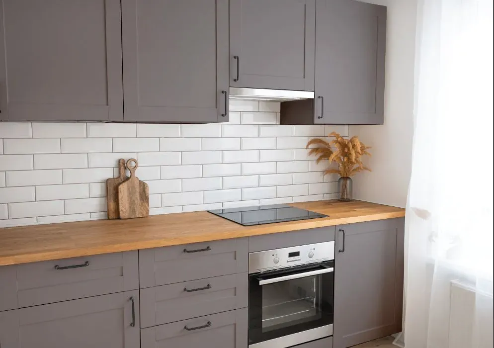 Sherwin Williams Sensuous Gray kitchen cabinets