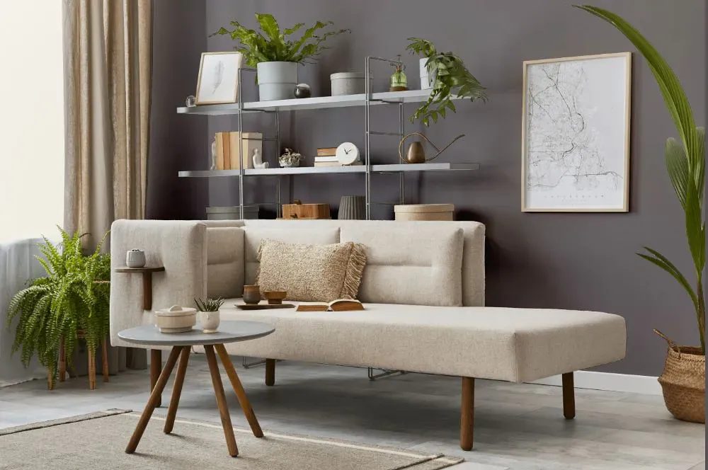 Sherwin Williams Sensuous Gray living room