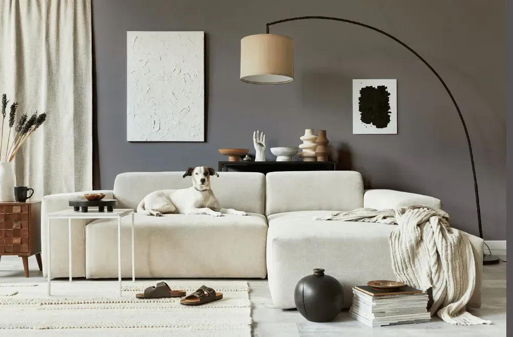 Sherwin Williams Sensuous Gray cozy living room