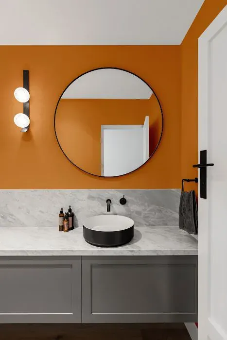 Sherwin Williams Serape minimalist bathroom