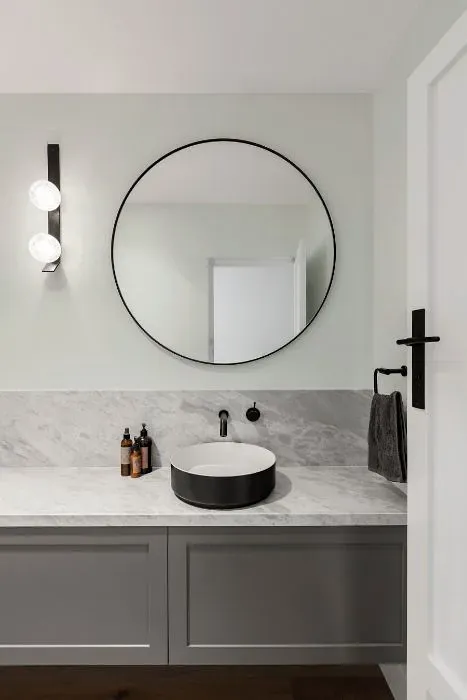 Sherwin Williams Serendipity minimalist bathroom