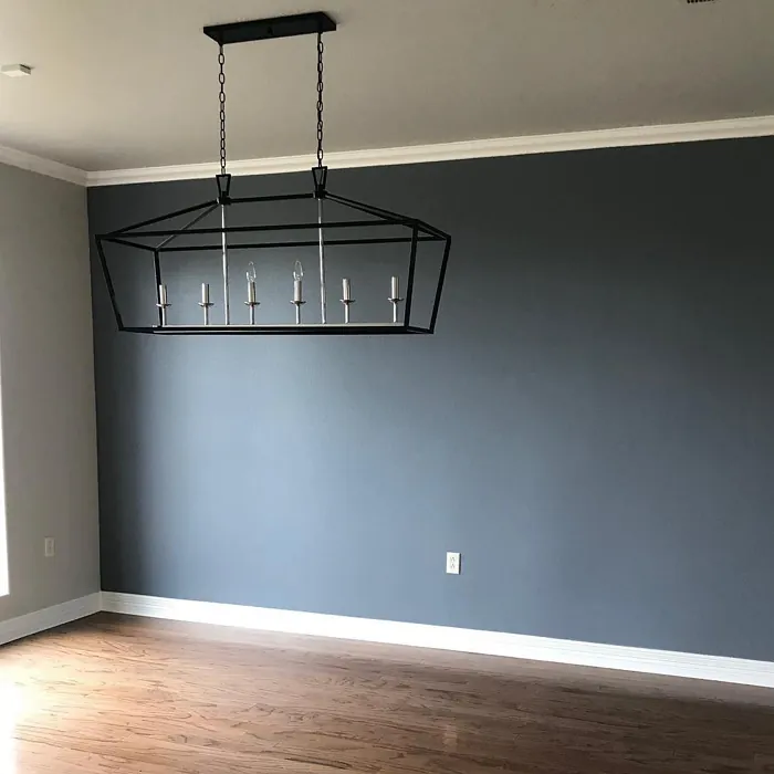 Sherwin Williams Serious Gray Accent Wall